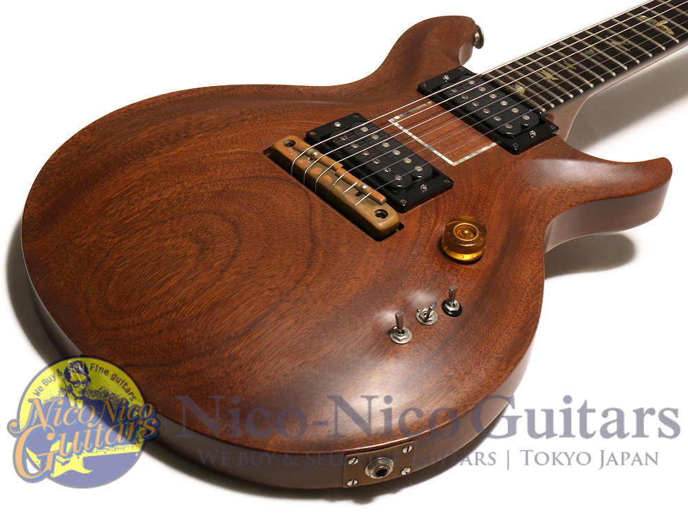 PRS Paul Read Smith SE Santana モデル