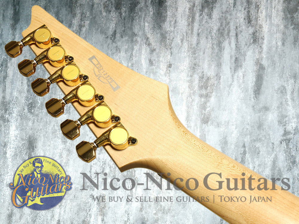 Ibanez 2002 PGM 10th Anniversary Paul Gilbert Model (Natural)/Nico