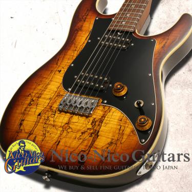 James Tyler 2009 Studio Elite HD-P SMT Hard Tail (Tobacco Sunburst)